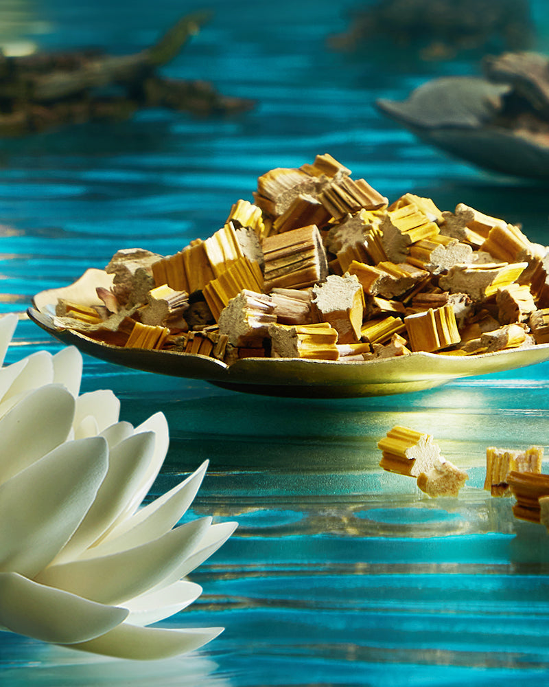 玉女桃花 プレストパウダー(タイ族限定)