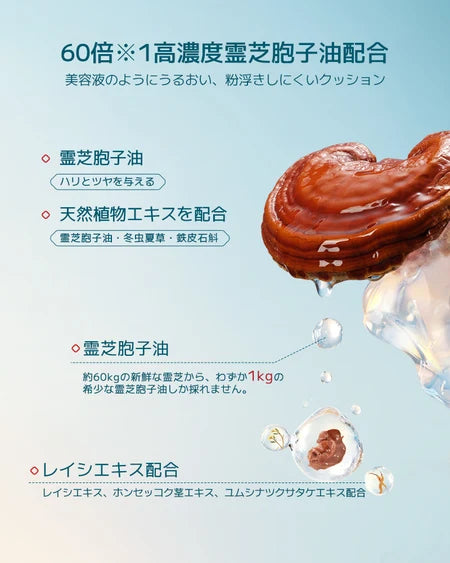 Lily限定セット